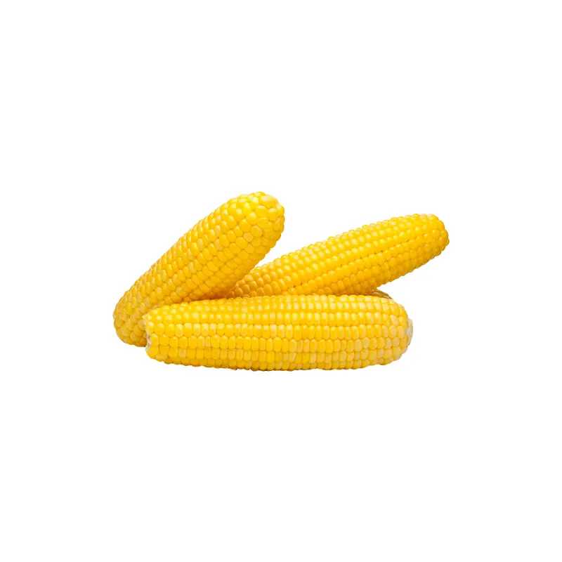 product cover
